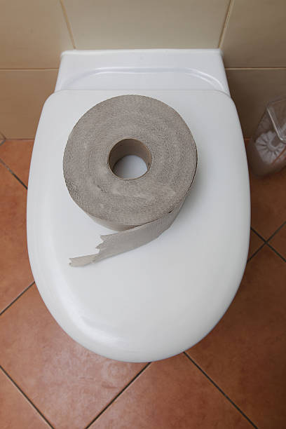istock toilet paper in bathroom 178720131