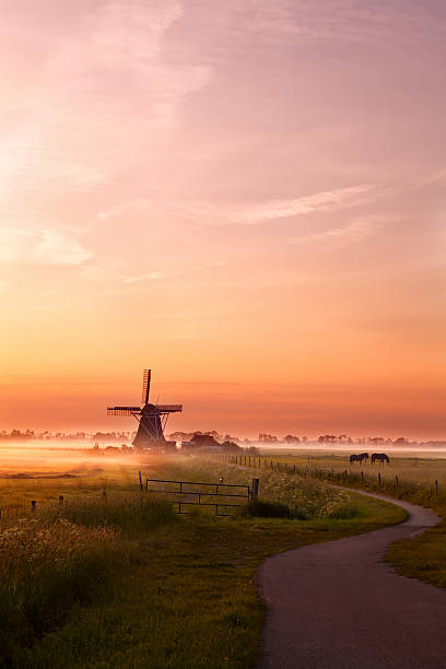 molino de viento y caballos en el pasto en sunrise - dutch culture windmill landscape netherlands fotografías e imágenes de stock