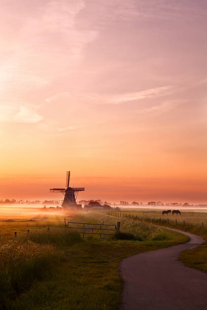 moinho de vento e os cavalos de pasto em sunrise - scenics landscape windmill sunrise imagens e fotografias de stock