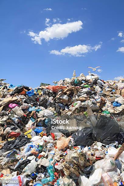 Lixo E Gaivotas - Fotografias de stock e mais imagens de Aterro de lixo - Aterro de lixo, Plástico, Garrafa