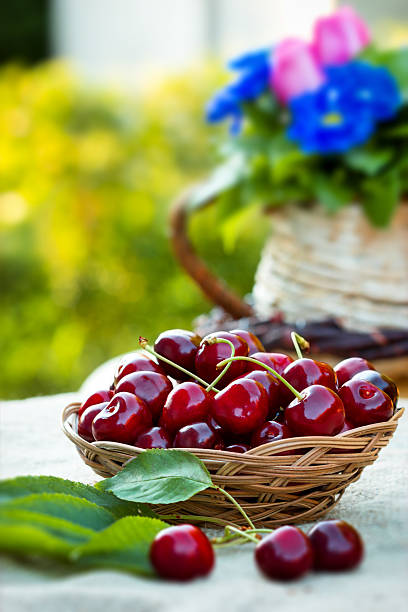 Fresh organic cherry