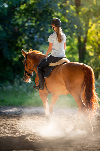 istock woman riding a horse 1787227146