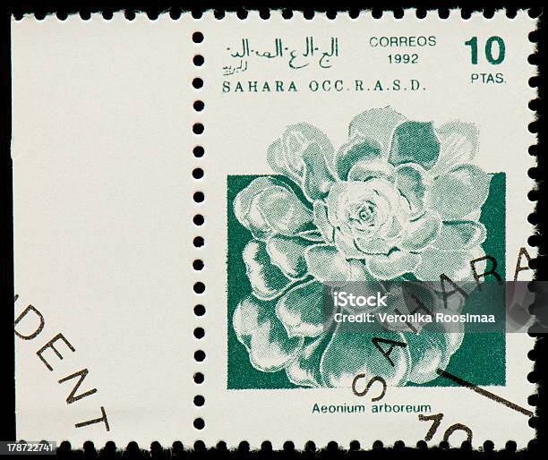 서사하라 우표 0명에 대한 스톡 사진 및 기타 이미지 - 0명, 검정색 배경, 사진-이미지