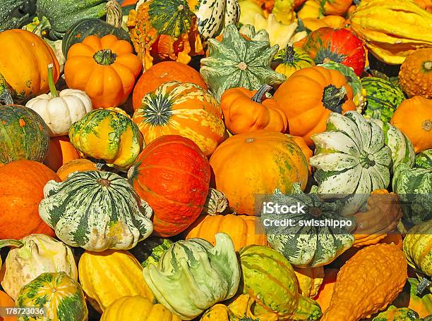 Zucche Colorate - Fotografie stock e altre immagini di Agricoltura - Agricoltura, Alimentazione sana, Ambientazione esterna