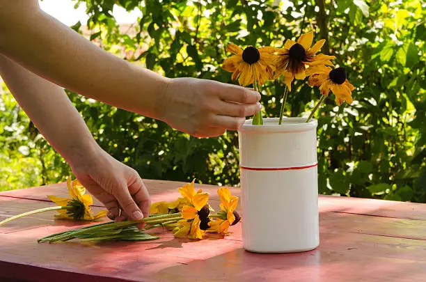 Woman hands put rudbekia flowers in white vase on rural outdoor wooden table.