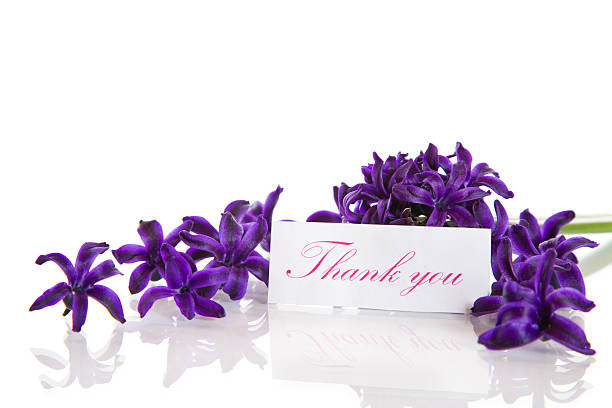 istock hyacinth flowers with gratitude 178725160