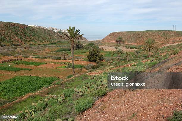 Soussmassa Maroko - zdjęcia stockowe i więcej obrazów Agadir - Agadir, Maroko, Plantacja