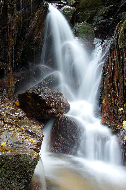 istock The small waterfall and rocks in forest, thailand 178726839