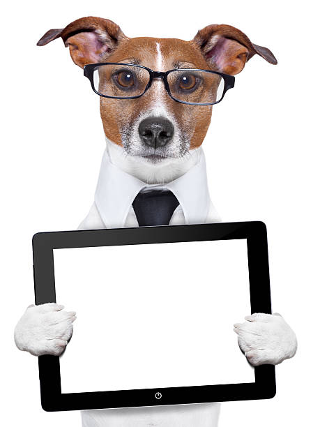 istock A dog with glasses holding a computer tablet 178727001
