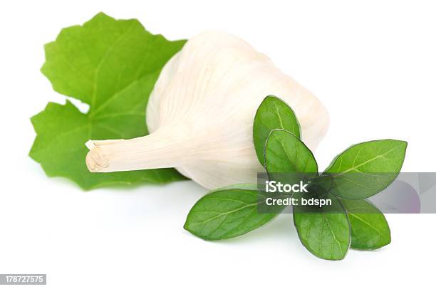 Medicinali Herbs Aglio E Foglie Di Menta Brahmi Lata - Fotografie stock e altre immagini di Acqua tonica