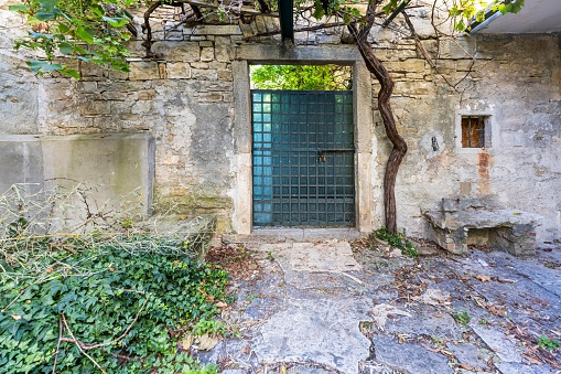 Image of a green entrance door to a residential building with an antique façade in daylight