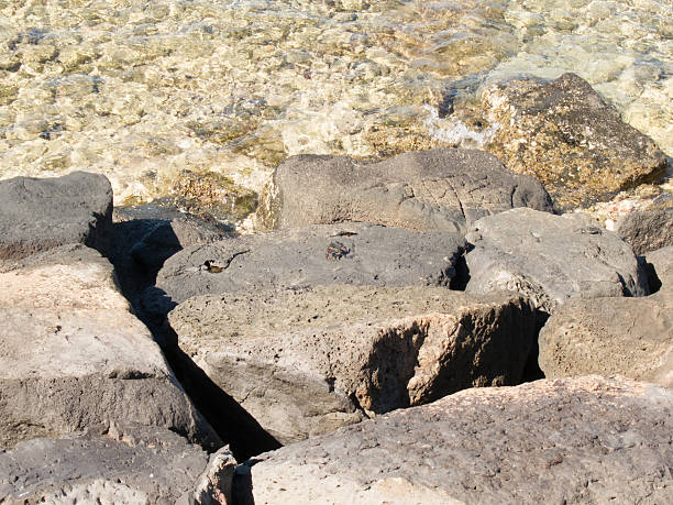 istock Lava Rocks in the Surf 178729446