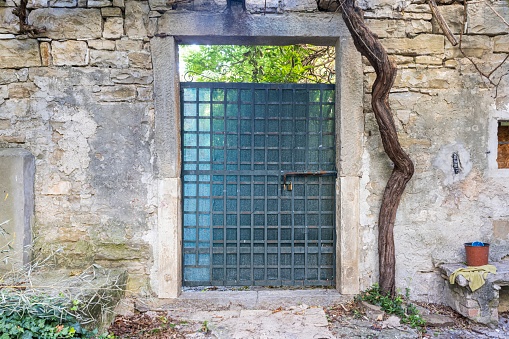 Image of a green entrance door to a residential building with an antique façade in daylight