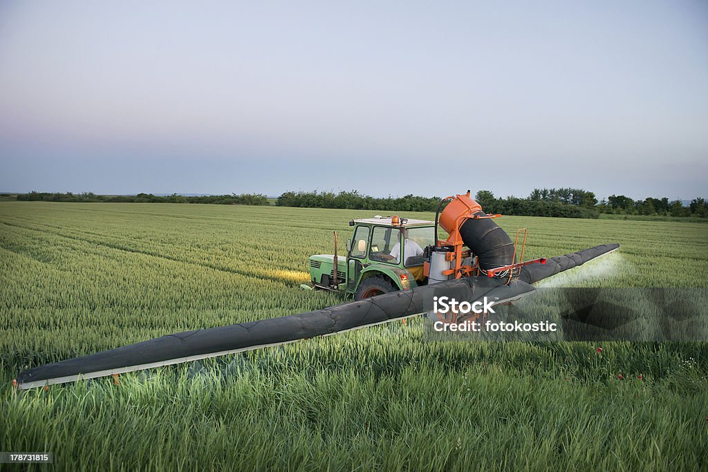 Tractor en el campo de la pulverización - Foto de stock de Agricultor libre de derechos
