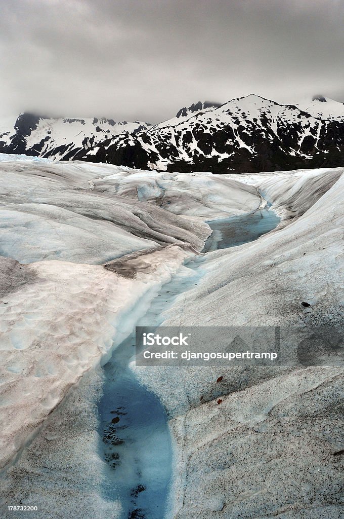 Glacier Mendehnall Surface - Photo de Alaska - État américain libre de droits