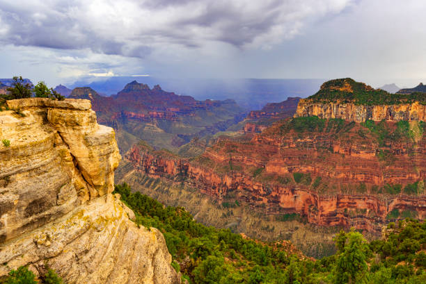 istock Grand Canyon North Rim 1787325767