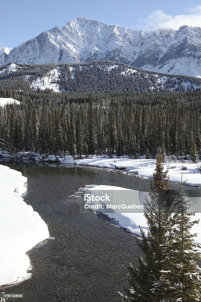 Rivière Bow valley au printemps, le Parc National Banff, Alberta, Canada - Photo de Rivière Bow libre de droits