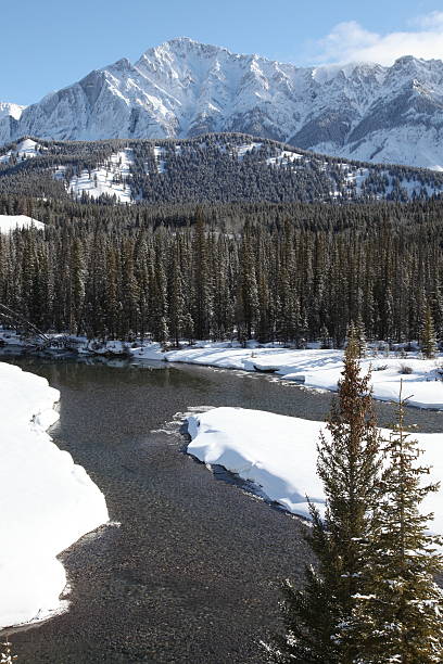 istock Bow River valley in springtime, Banff National Park, Alberta, Canada 178732808