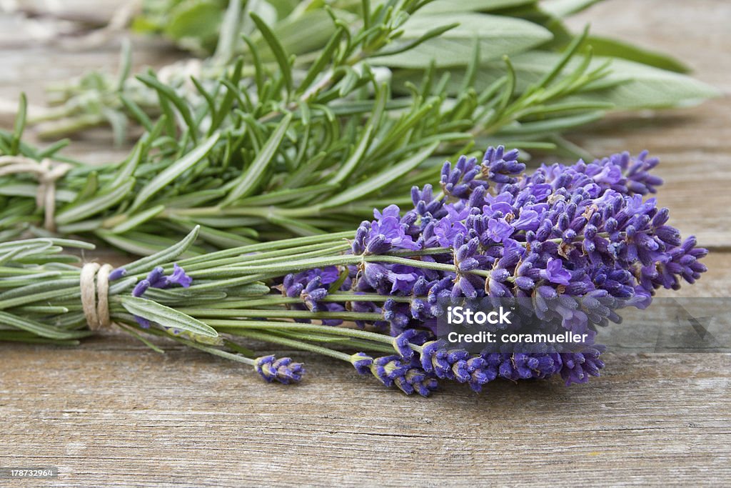 Bunch of herbs lying next to some lilacs lavender and rosemary on wooden ground Lavender - Plant Stock Photo