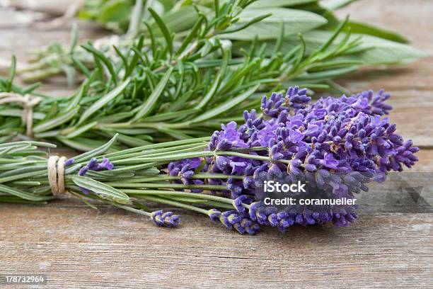 Bunch Of Herbs Lying Next To Some Lilacs Stock Photo - Download Image Now - Lavender - Plant, Lavender Color, Rosemary