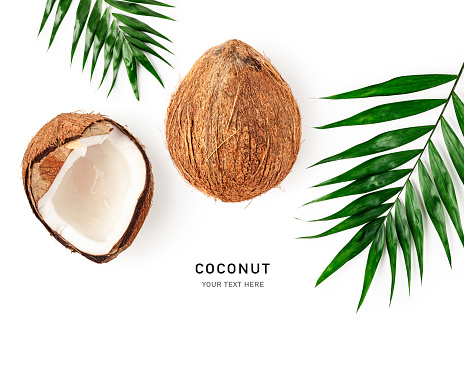 Fresh coconut and palm leaf creative layout isolated on white background. Food, healthy eating and dieting concept. Design element. Flat lay, top view