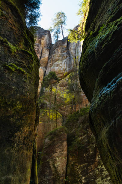 istock Monumental rock formations in Adrspach rocks, Czech Republic 1787336473