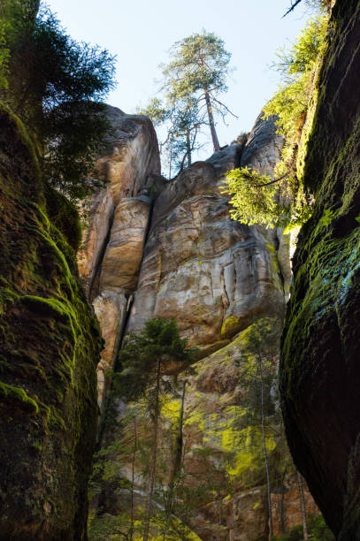 istock Monumental rock formations in Adrspach rocks, Czech Republic 1787336990