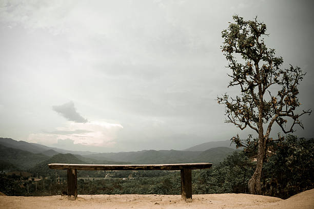 Paisaje con banco de vacío a punto de vista - foto de stock