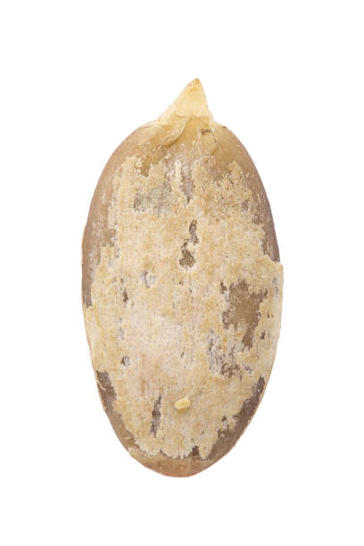 istock Hulled pumpkin seed close up. Healthy food ingredient. 1787354053