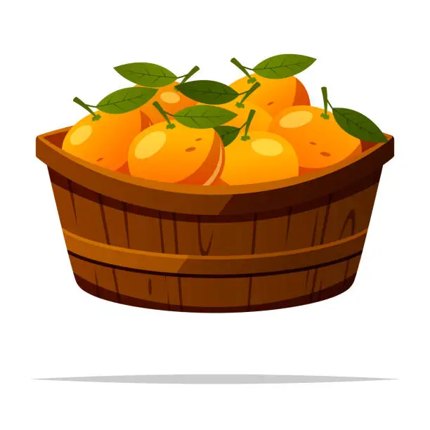 Vector illustration of Basket of tangerine oranges vector isolated illustration