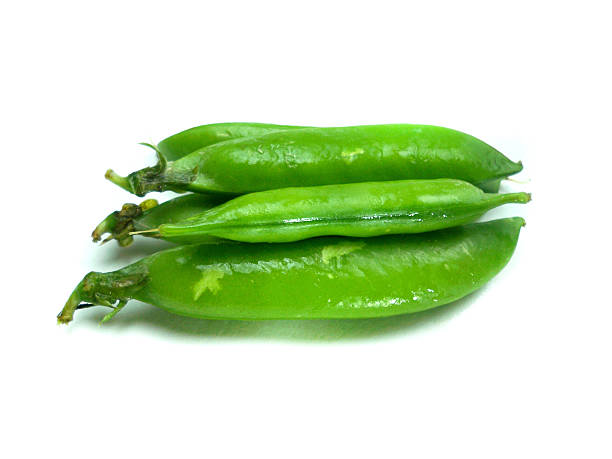bunch of broad beans bunch of broad beans on a white background fabes stock pictures, royalty-free photos & images