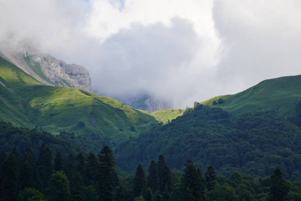 istock Epic mountain landscape with a pass covered with clouds and forest. 1787365689