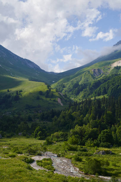 istock Vertical landscape with a beautiful green mountain valley and a river. 1787374811