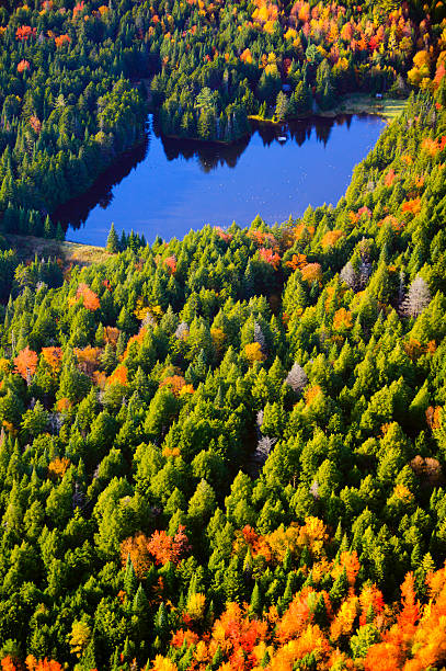 istock Aerial view of fall foliage in Vermont 178737773