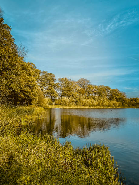 istock Autumn landscape with lake, trees and blue sky with white clouds 1787378516