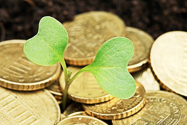 istock Golden coins in soil with young plant. 178737929