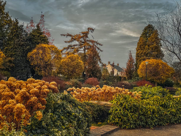 istock Autumn park in the city 1787380616