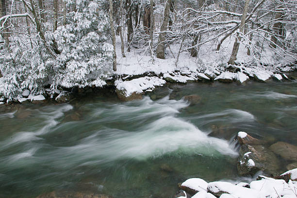 istock Snow covered pine trees over a river in winter 178738226