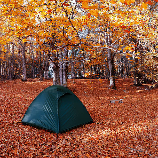 istock Tent in the autumn forest 178738300