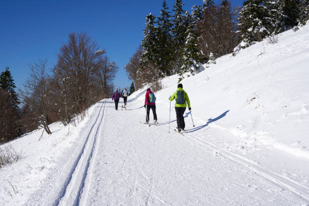 雪の中の冬のハイキングコース(loipe)でのハイカーやクロスカントリースキーヤー。フェルドベルクのシュヴァルツヴァルトでのウィンタースポーツ。背面図。 - cross country skiing black forest germany winter ストックフォトと画像