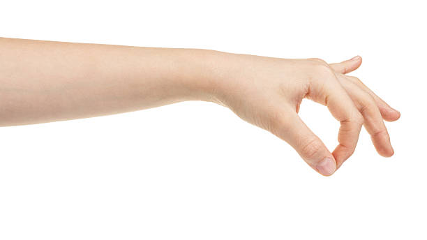 istock female teen hand holding something 178739598