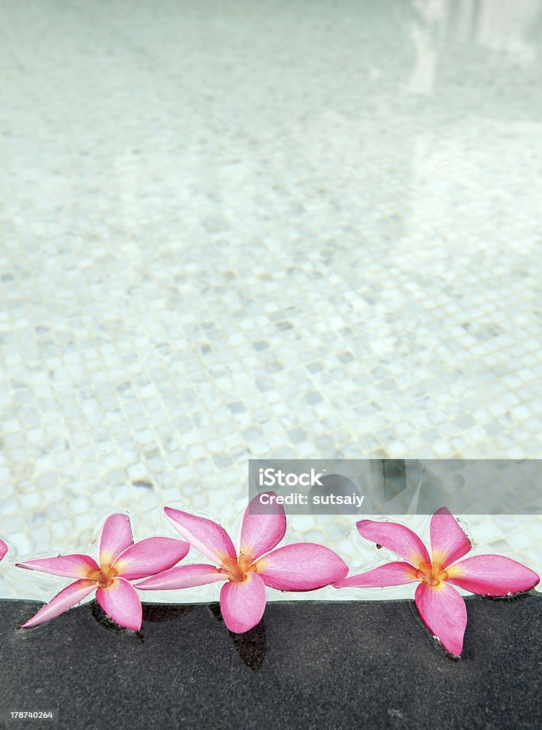 flower in spa flowers on water in the spa Alternative Therapy Stock Photo