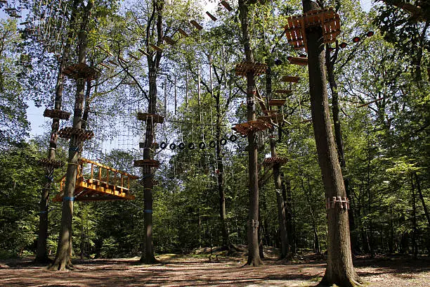 Climbing forest on the Kluet (Hamelin)