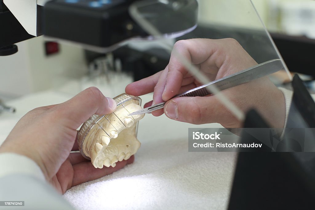 Laboratoire dentaire - Photo de Anatomie libre de droits