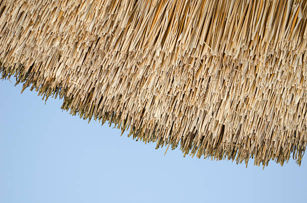 istock retro organic straw house roof blue sky background 178741544