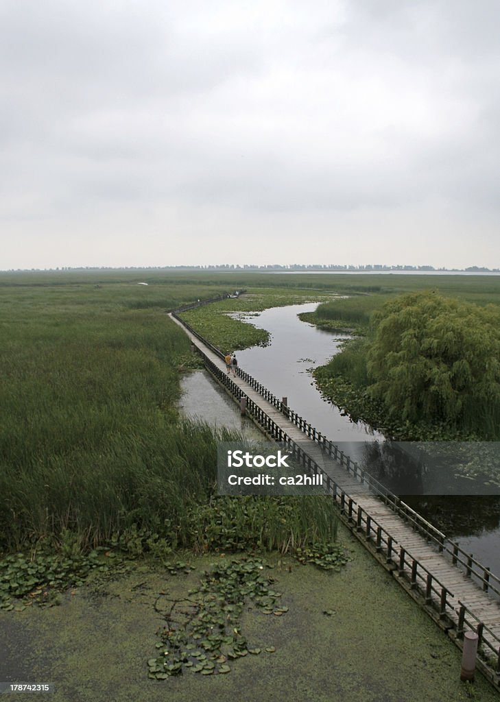 Point Pelee pântano Boardwalk - Foto de stock de Andar royalty-free