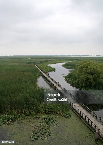 Foto de Point Pelee Pântano Boardwalk e mais fotos de stock de Andar - Andar, Canadá, Caule