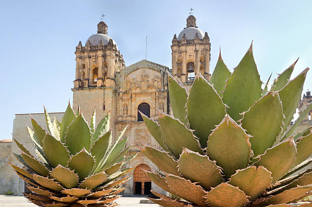 istock Main church in Oaxaca, Mexico 178742536