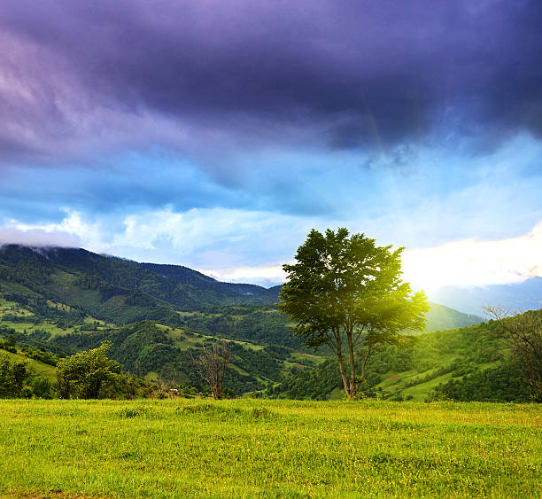 istock Evening landscape in the mountains. Ukraine. 178742890