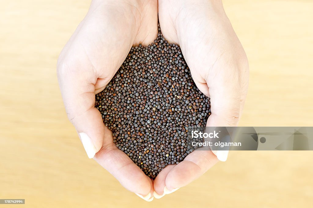 Mustard seeds Black mustard seeds in woman's hands Adult Stock Photo